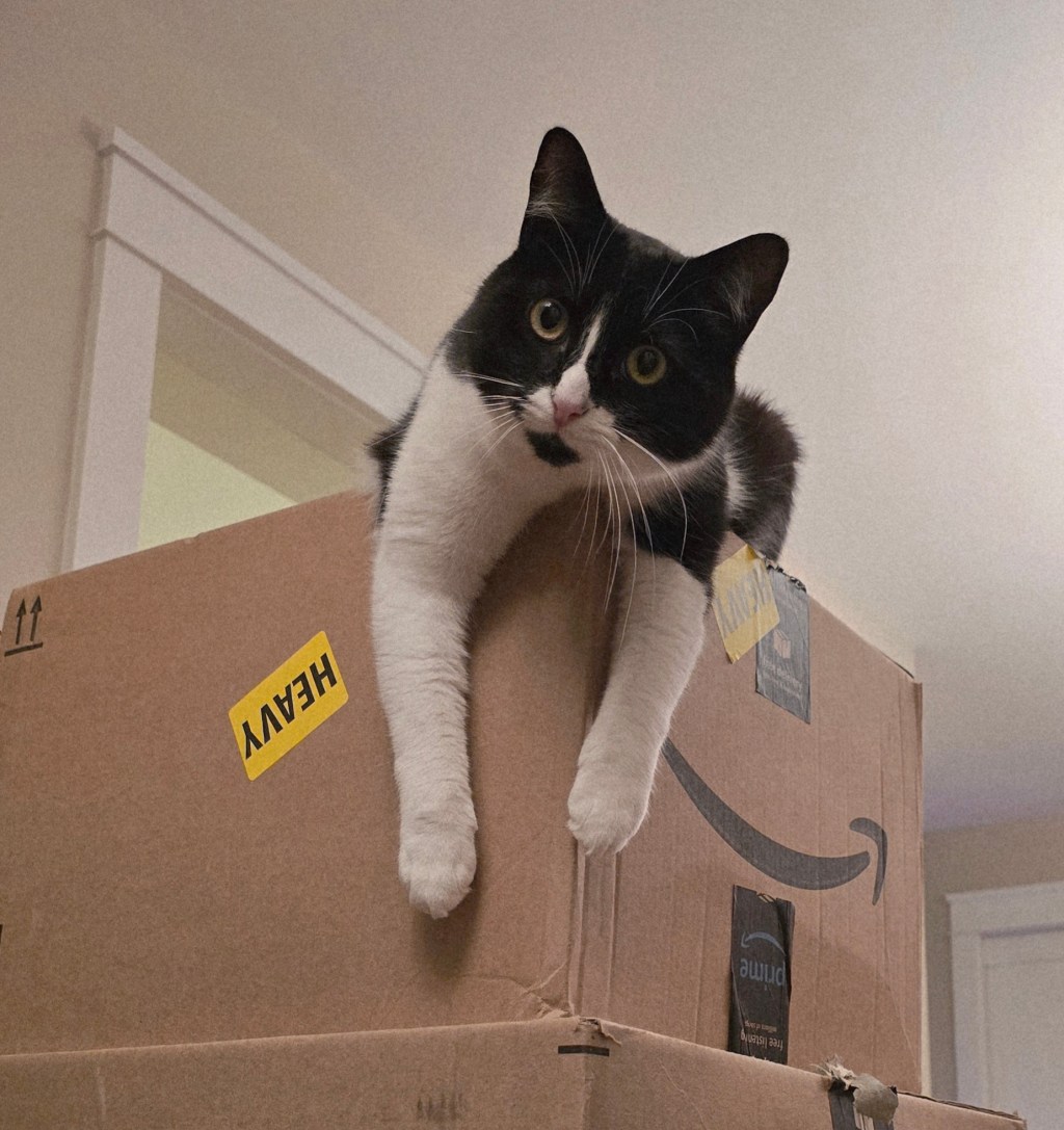 Who Moved My&nbsp;Stuff?