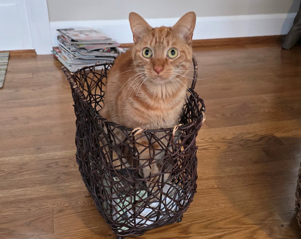 Who Moved My Stuff?